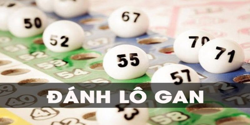 Soi thử con đề gan nhất mang lại hiệu quả 