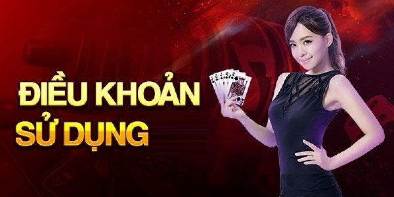 Một số điều khoản dịch vụ 33Win đối với hội viên